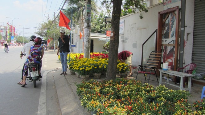Chiều 30 tết, nhiều nơi không có hoa để bán - ảnh 6